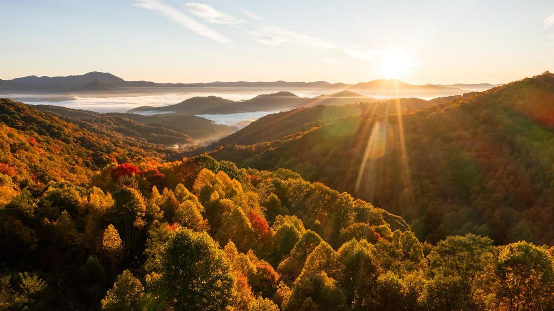 Elk & Embers Mountain Hideaway Hotel Waynesville Ngoại thất bức ảnh