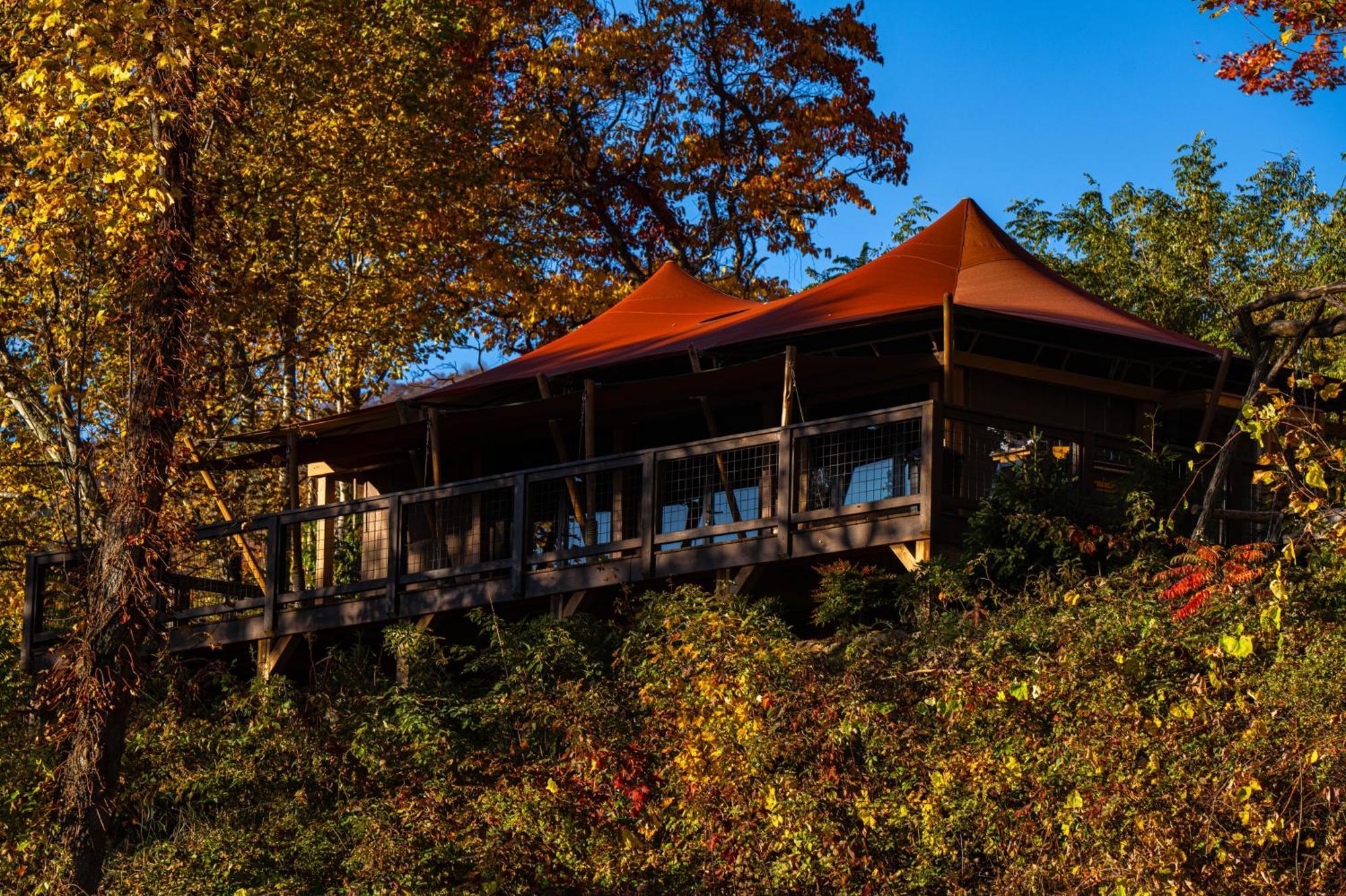 Elk & Embers Mountain Hideaway Hotel Waynesville Ngoại thất bức ảnh
